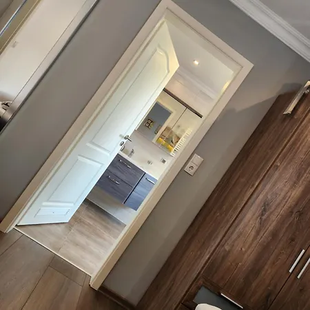 Rose ヴィルヘルムスハーフェン